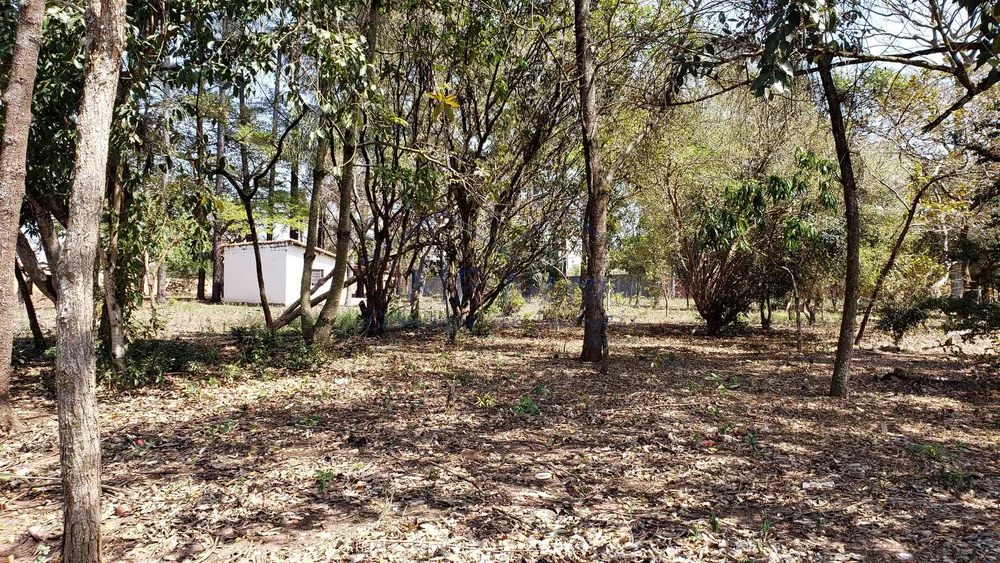 Terreno, 2871 m² - Foto 5