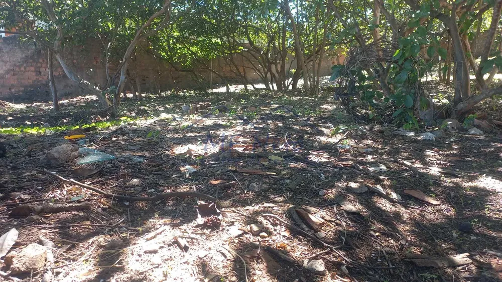 Terreno, 435 m² - Foto 5