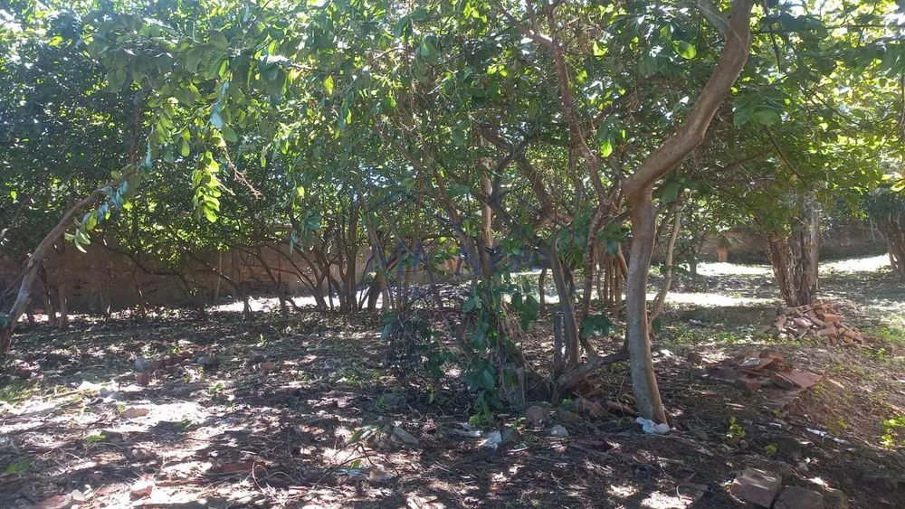 Terreno, 435 m² - Foto 7