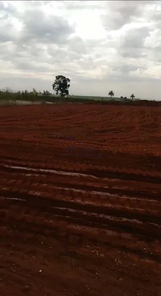 Terreno, 1960 m² - Foto 3