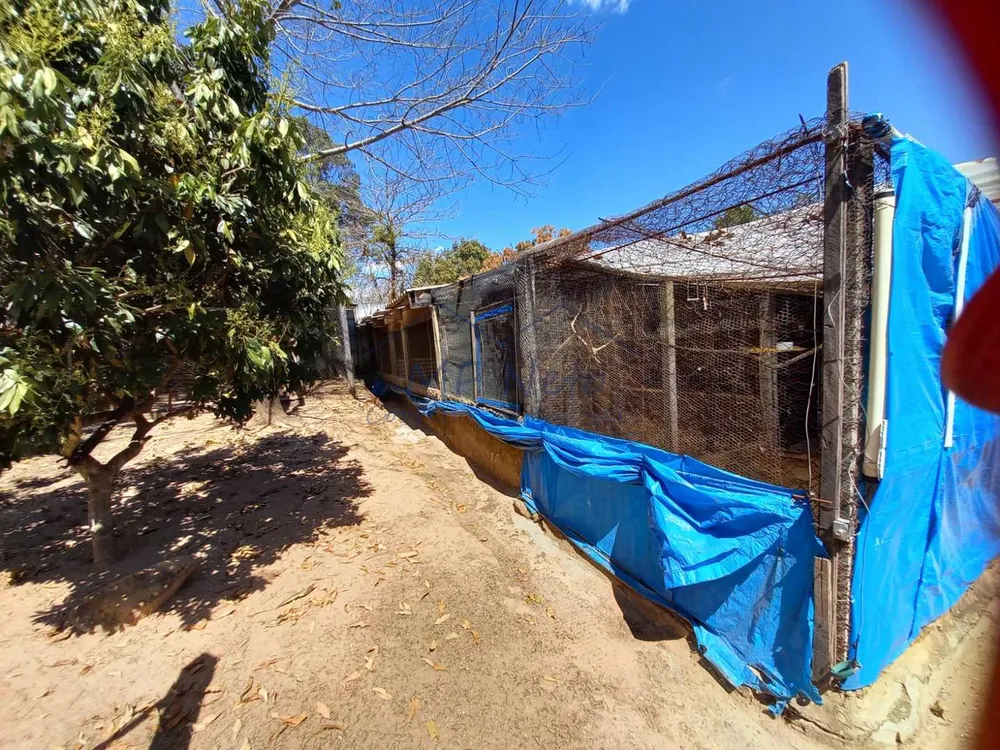 Chácara, 2 quartos, 1800 m² - Foto 5