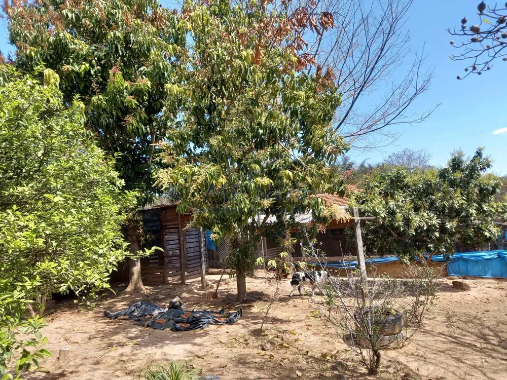 Chácara, 2 quartos, 1800 m² - Foto 11
