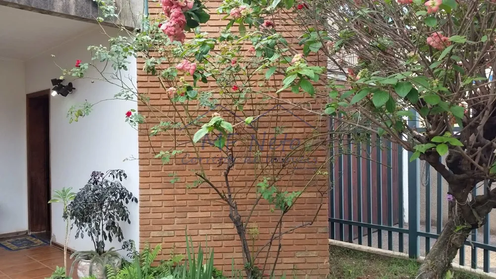 Casa, 3 quartos, 750 m² - Foto 3