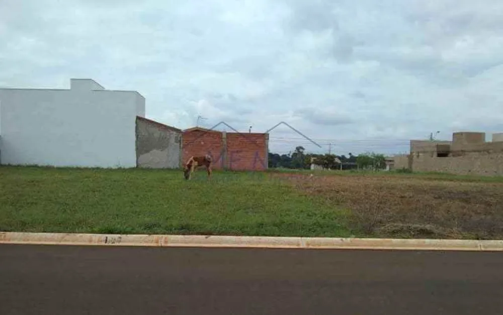 Terreno, 286 m² - Foto 1