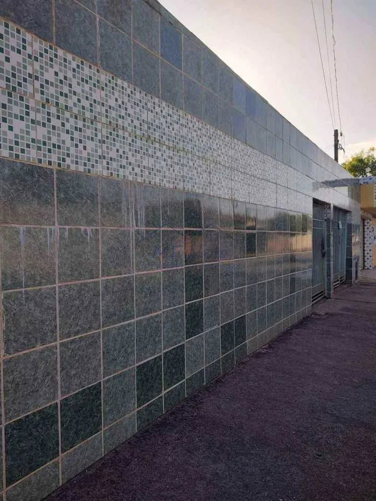Casa, 4 quartos, 360 m² - Foto 2