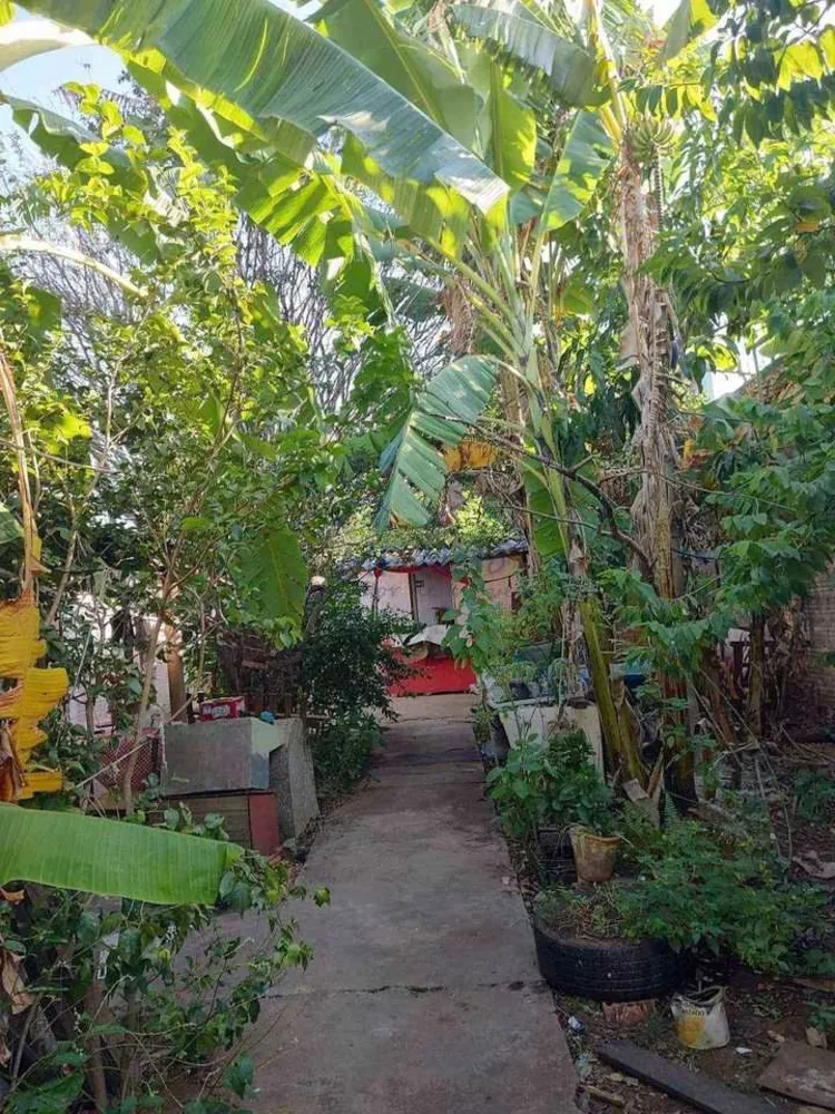 Casa, 4 quartos, 360 m² - Foto 1