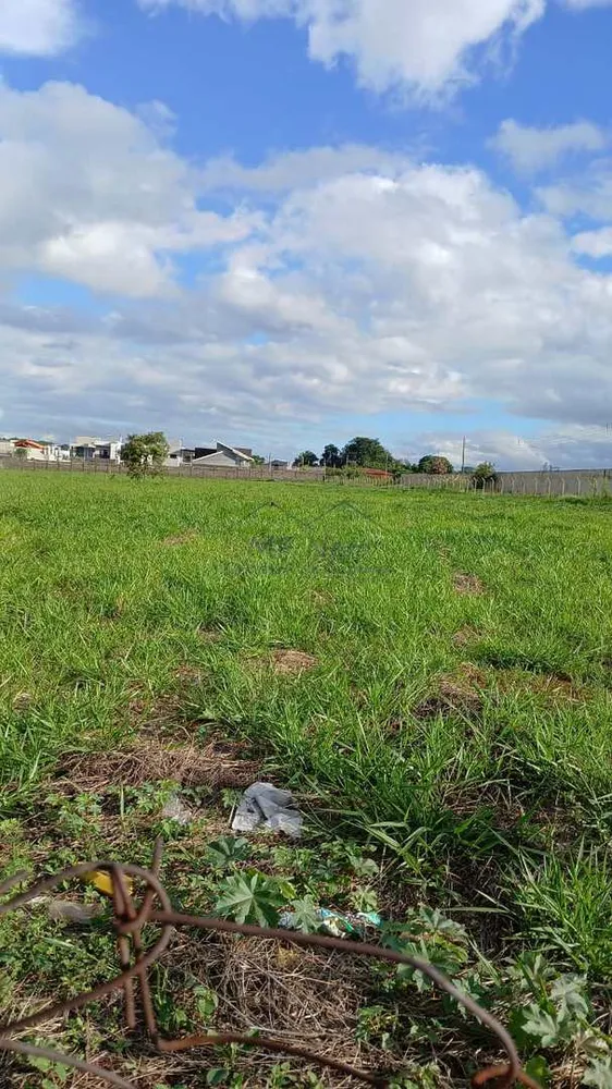 Loteamento e Condomínio, 3 hectares - Foto 4
