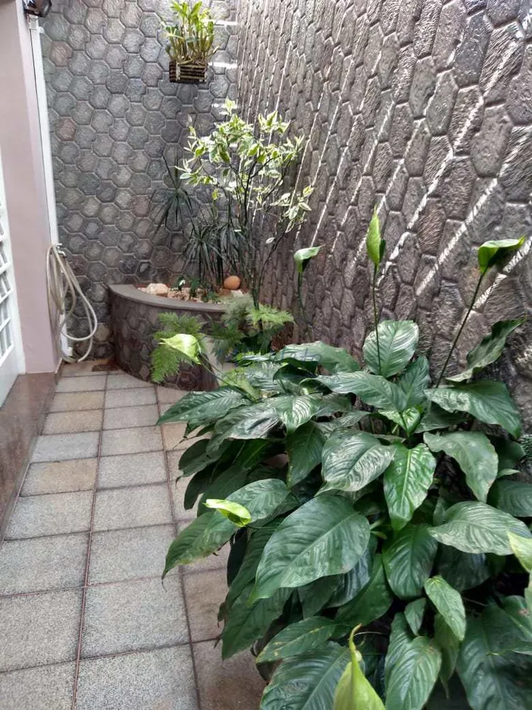 Casa, 3 quartos, 300 m² - Foto 2