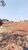 Terreno, 250 m² - Foto 2