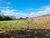 Terreno, 700 m² - Foto 2