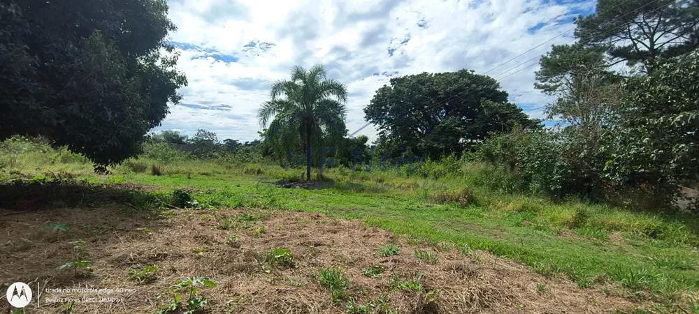 Terreno, 2100 m² - Foto 4