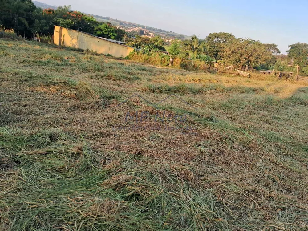 Fazenda à venda, 1500m² - Foto 3