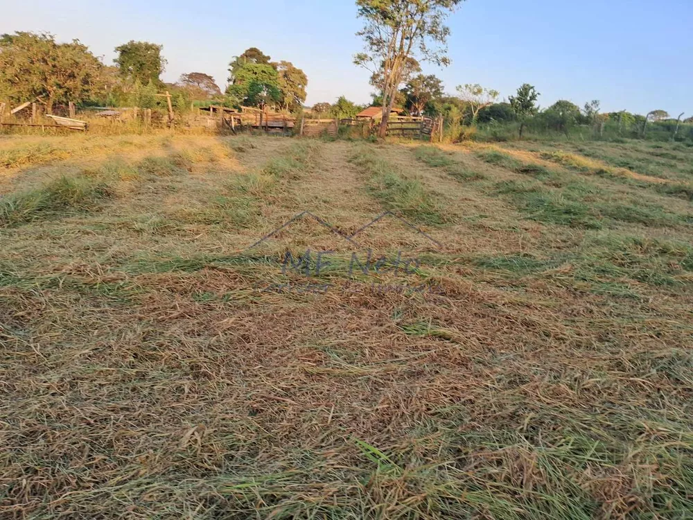 Fazenda à venda, 1500m² - Foto 1