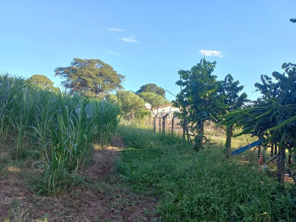 Sítio, 2 quartos, 7 hectares - Foto 12
