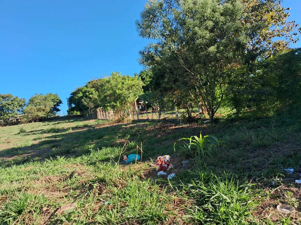 Chácara, 1500 m² - Foto 2