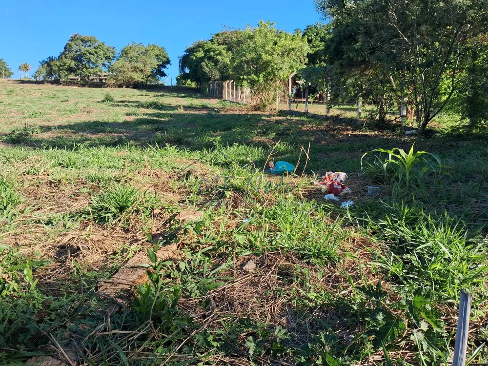 Chácara, 1500 m² - Foto 6