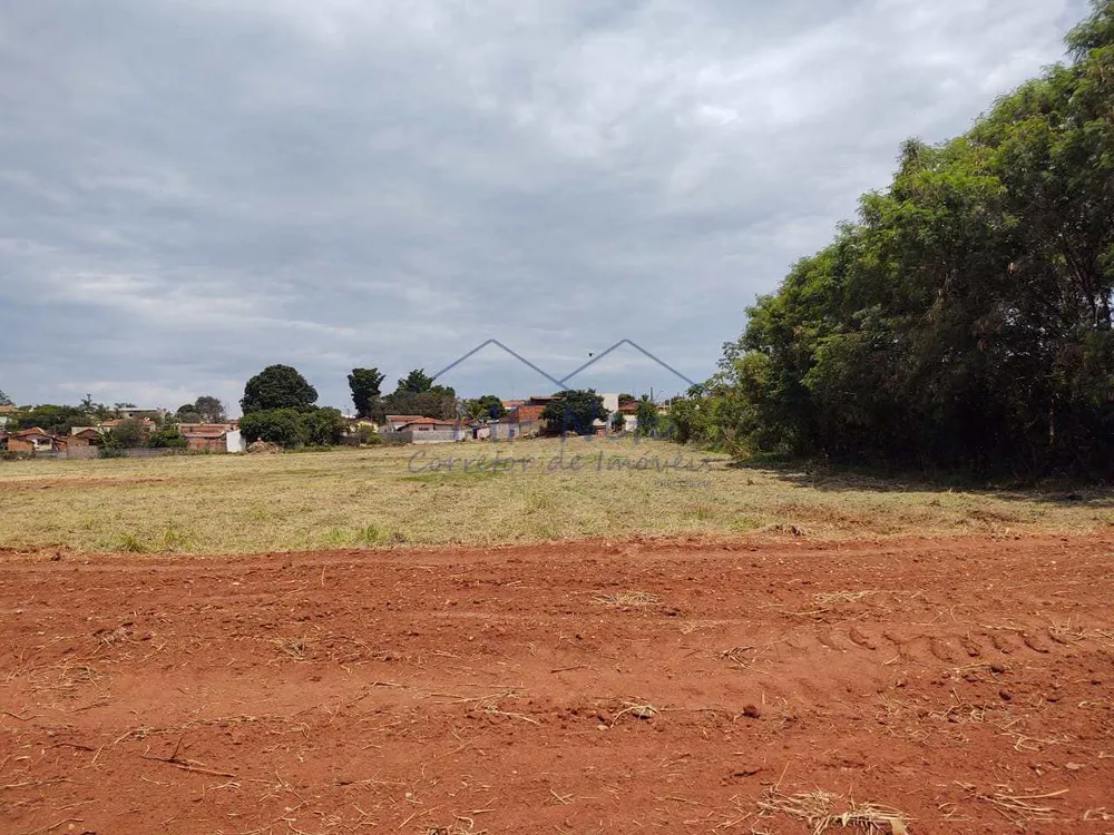 Terreno, 1 hectares - Foto 8