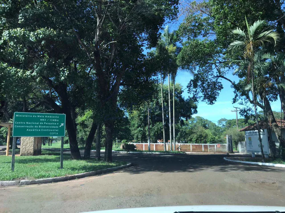 Chácara, 3 quartos, 6 hectares - Foto 6