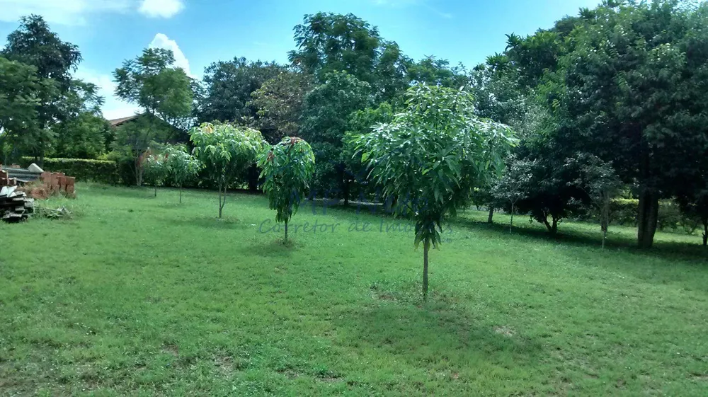 Chácara, 3 quartos, 8400 m² - Foto 3