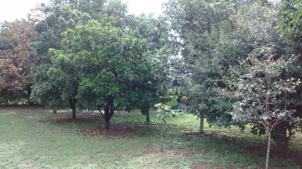 Chácara, 3 quartos, 8400 m² - Foto 2