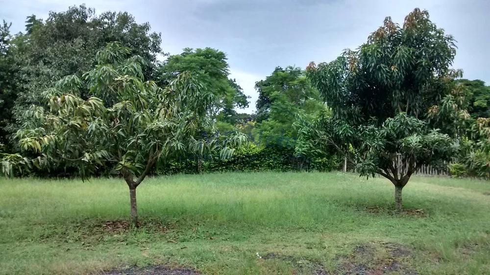 Chácara, 3 quartos, 8400 m² - Foto 3