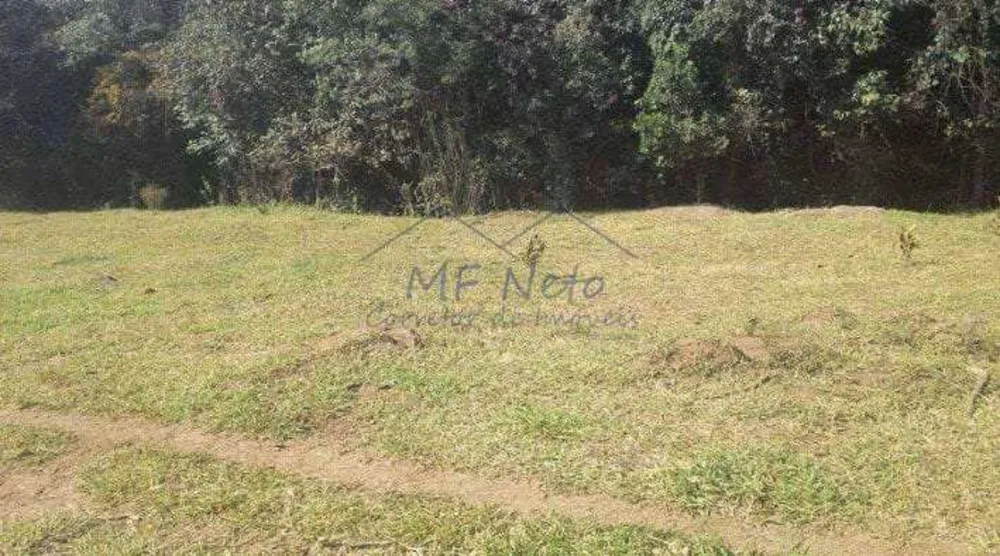 Terreno, 6000 m² - Foto 2