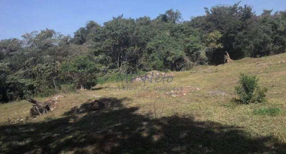 Terreno, 6000 m² - Foto 3
