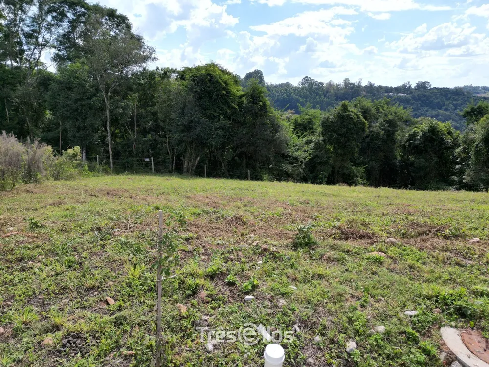 Terreno, 257 m² - Foto 1