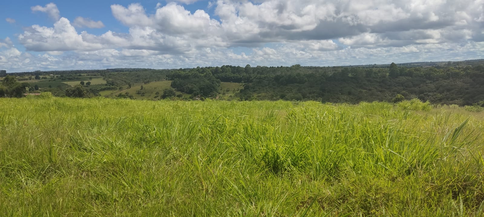 Terreno à venda, 60000m² - Foto 2