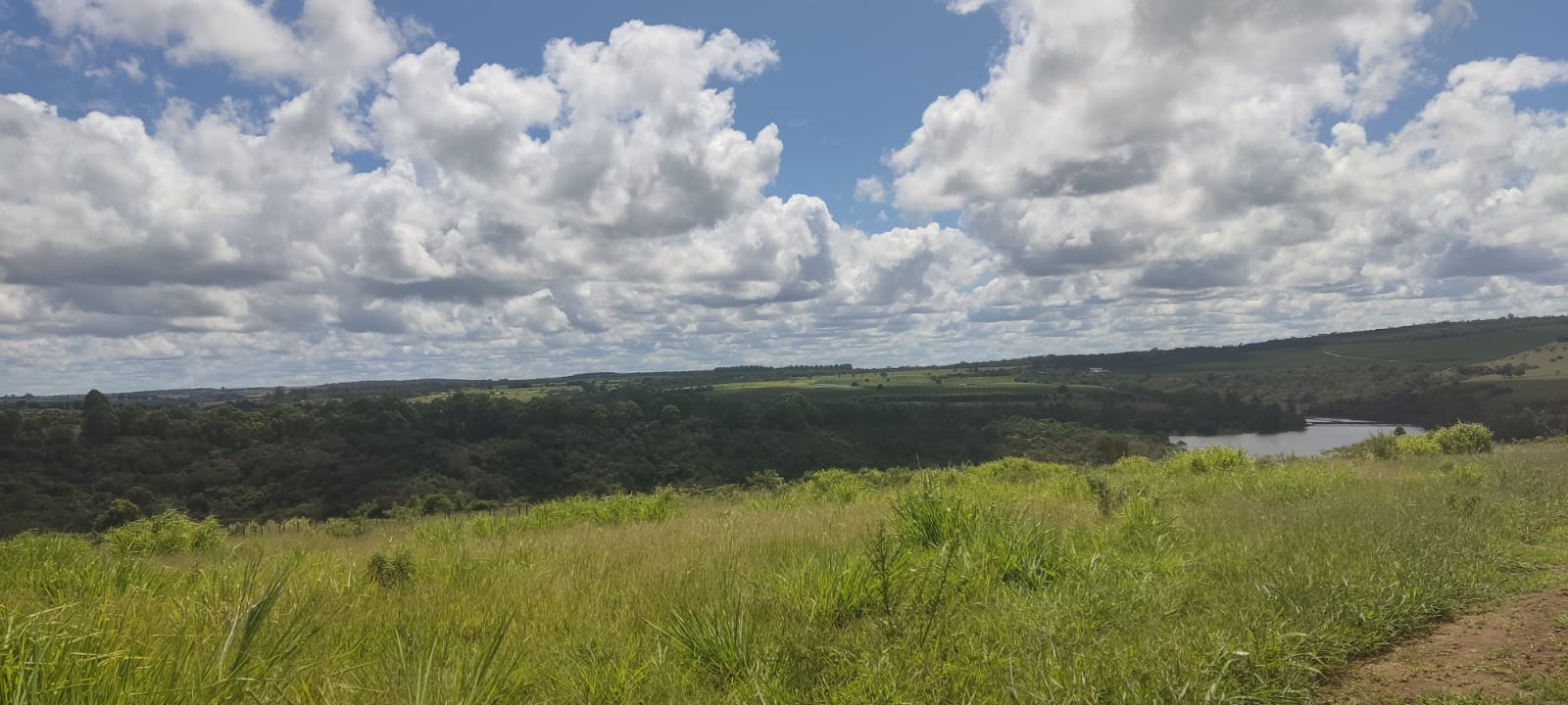 Terreno à venda, 60000m² - Foto 3