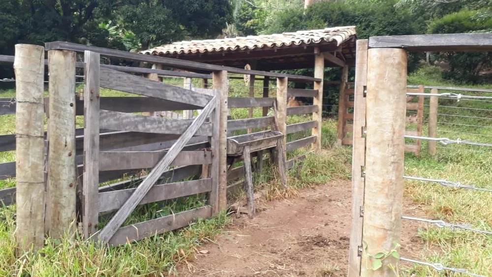 Chácara, 3 quartos, 3 m² - Foto 6