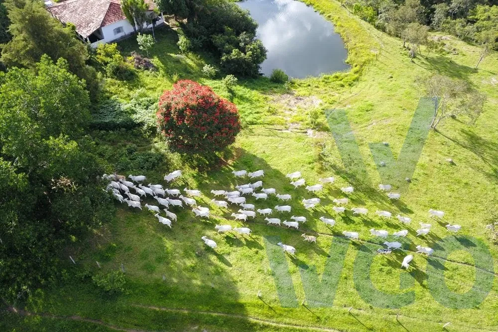 Fazenda, 60 m² - Foto 6