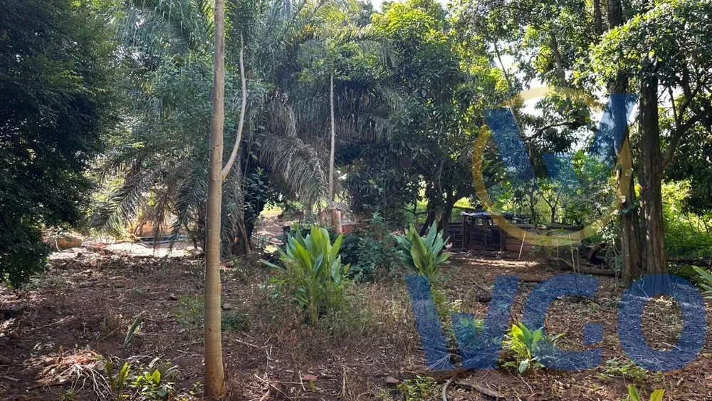 Chácara, 3 quartos, 2 m² - Foto 4