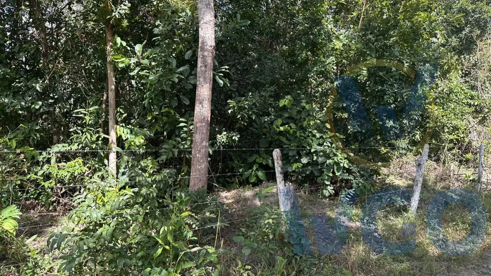 Terreno, 500 m² - Foto 2