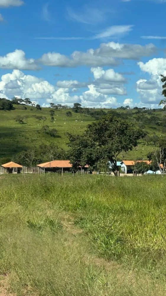 Fazenda, 12 m² - Foto 6
