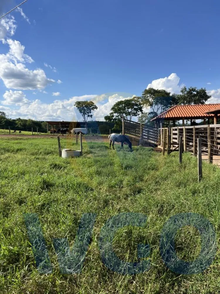 Fazenda, 12 m² - Foto 7