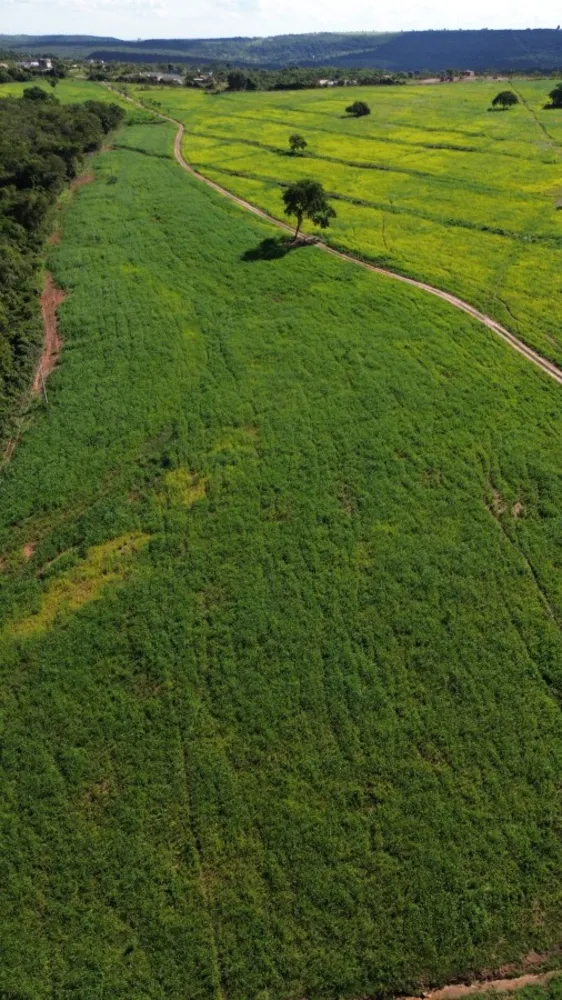Fazenda, 12 m² - Foto 5