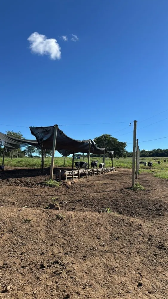 Fazenda, 12 m² - Foto 3