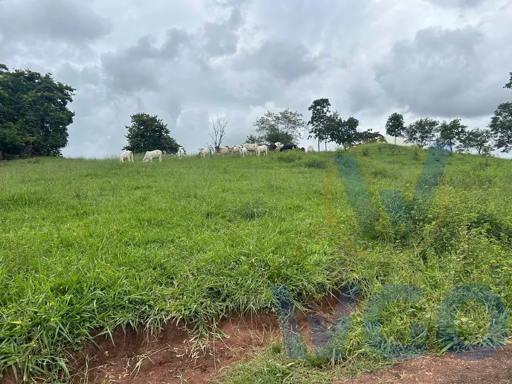 Fazenda, 28 m² - Foto 12