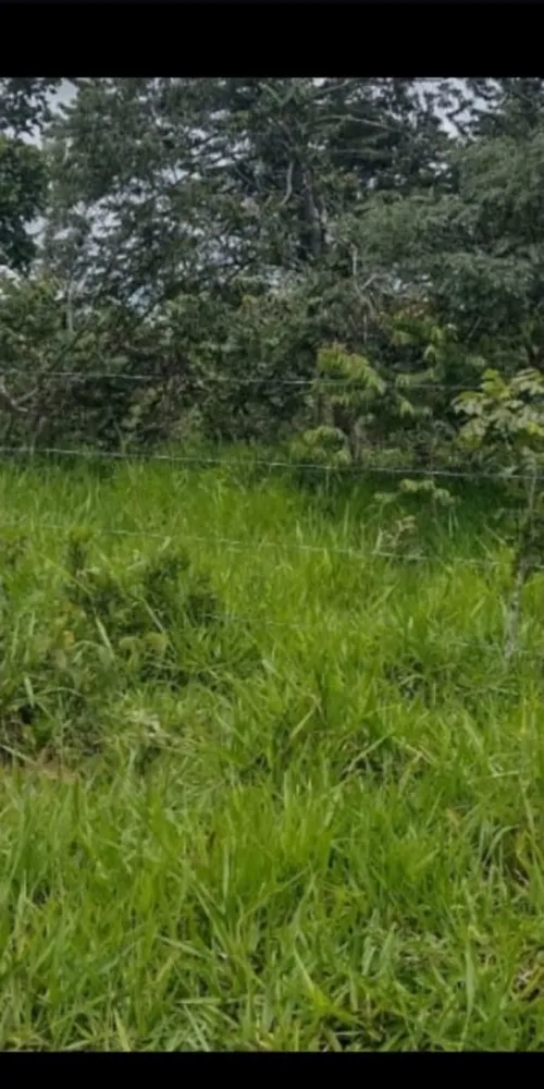 Chácara, 10000 m² - Foto 5