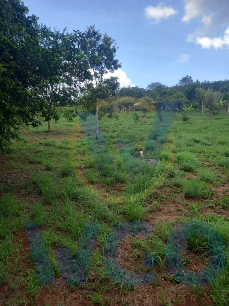 Chácara, 1 quarto, 2 hectares - Foto 1