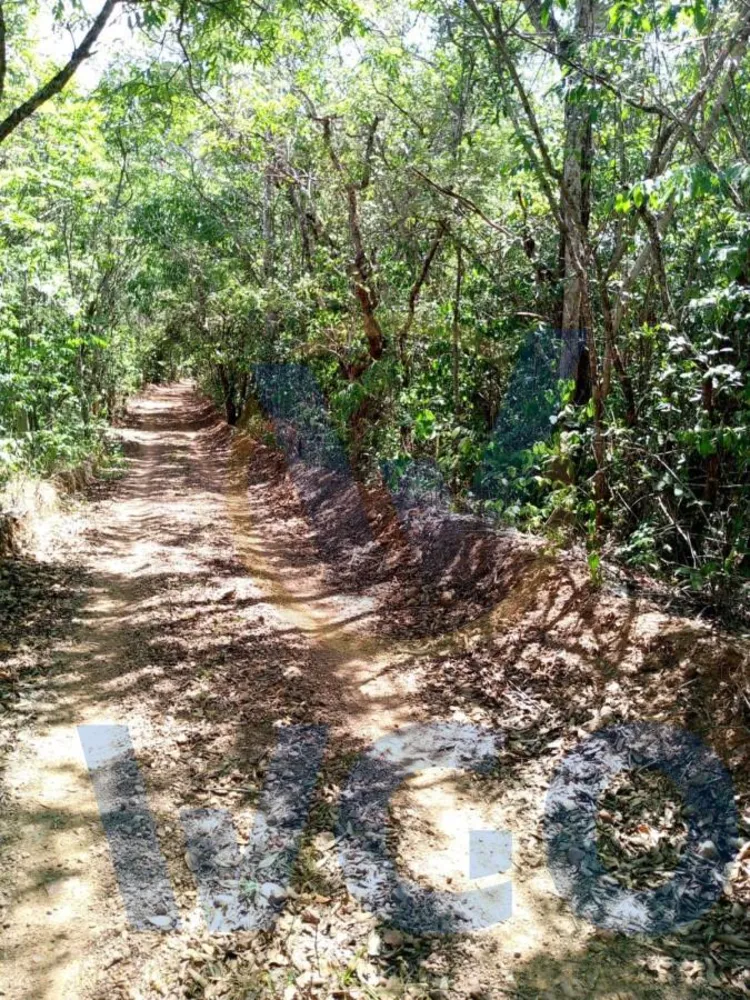 Chácara, 2 hectares - Foto 4