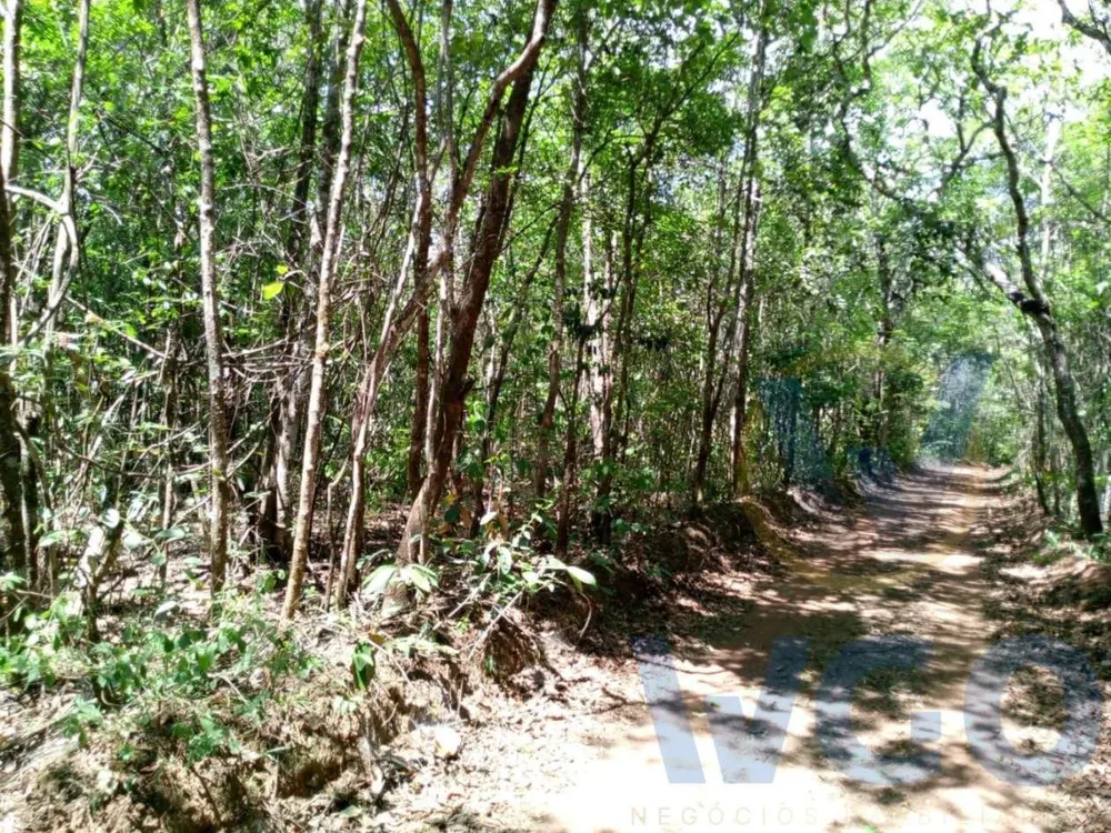 Chácara, 2 hectares - Foto 1