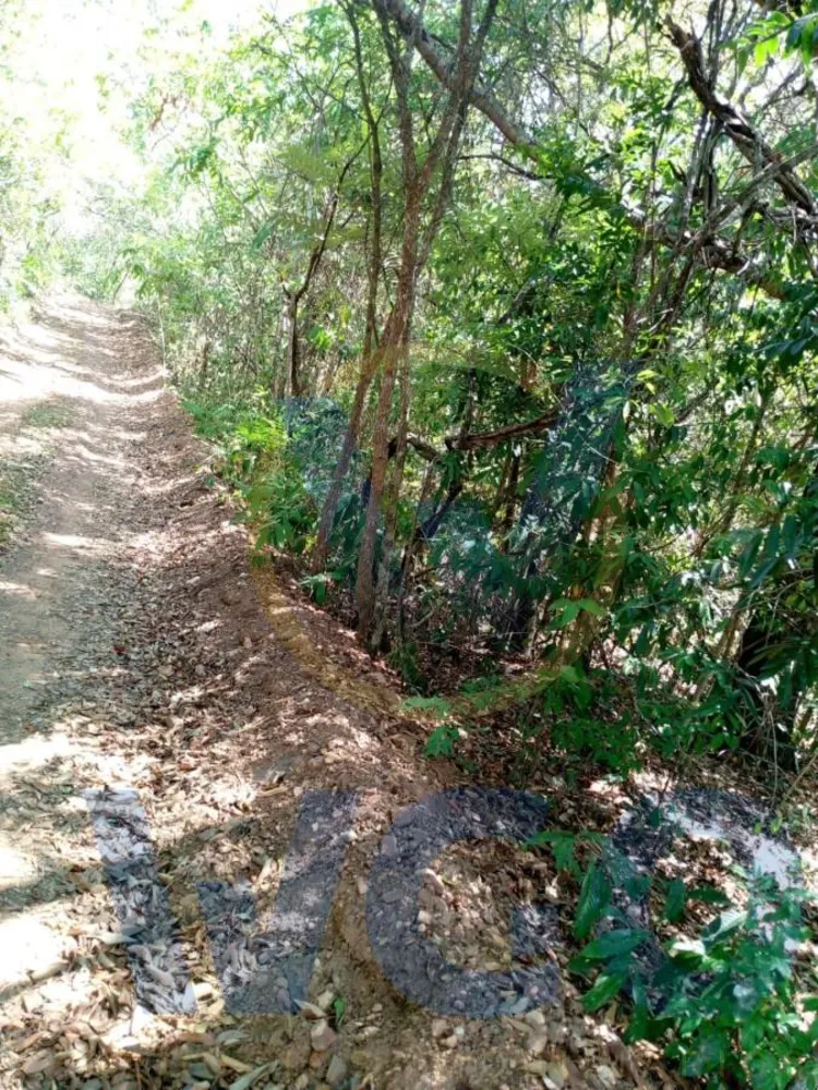 Chácara, 2 hectares - Foto 6