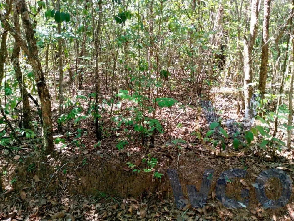 Chácara, 2 hectares - Foto 2