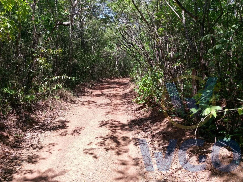 Chácara, 2 hectares - Foto 3