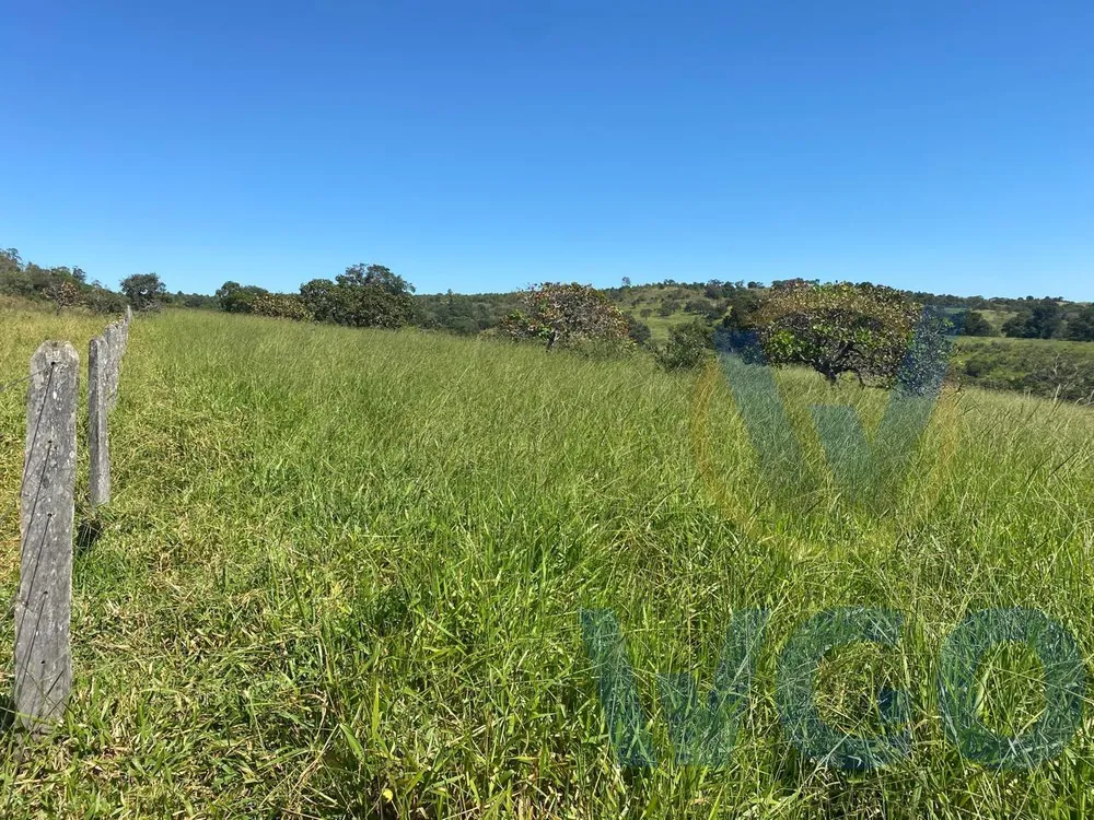 Fazenda, 41 m² - Foto 7