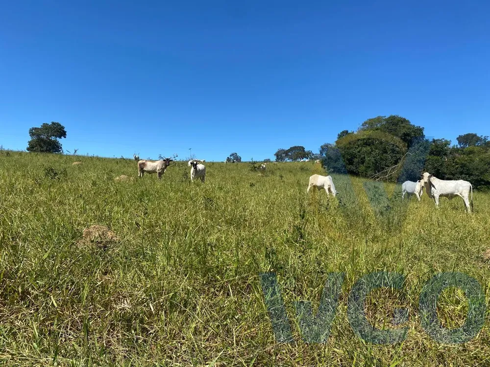 Fazenda, 41 m² - Foto 8