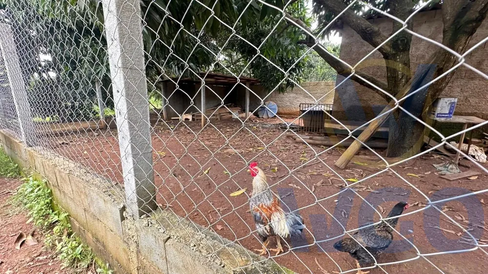 Chácara, 3 quartos, 4000 m² - Foto 10