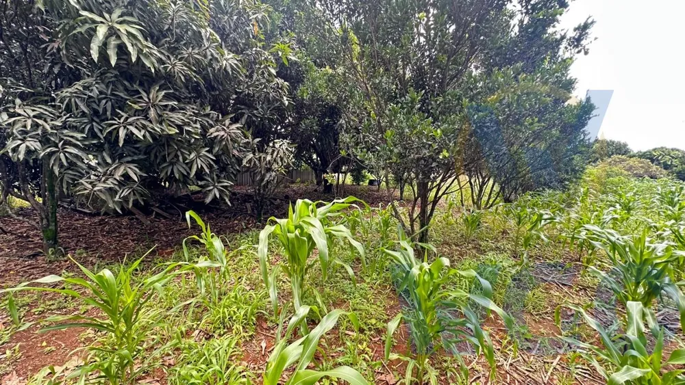 Chácara, 3 quartos, 4000 m² - Foto 11